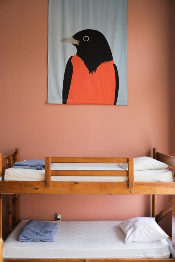 Hostel Buffalo-Niagara Екстер'єр фото